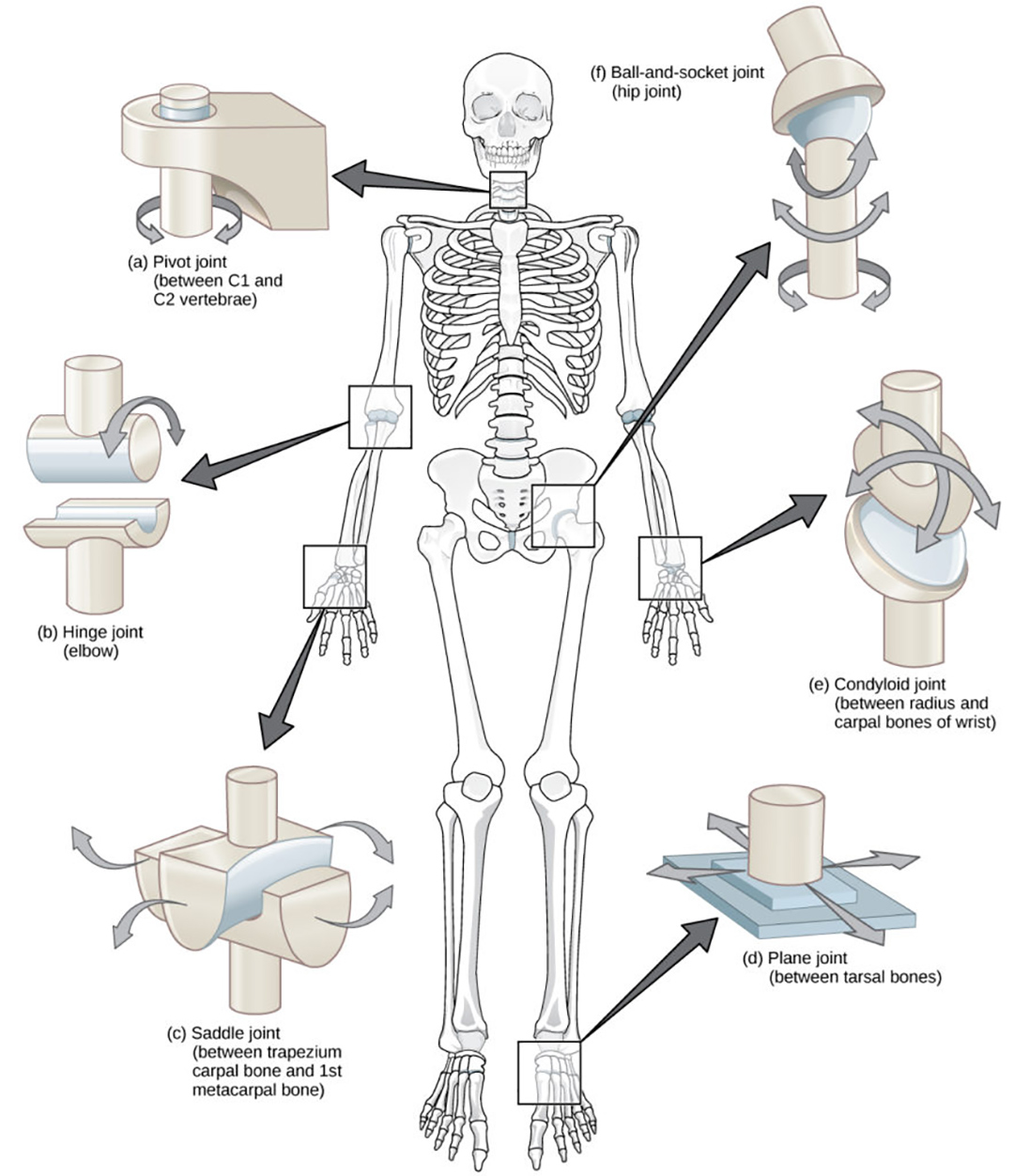 lábak deformáló ízületi kezelése éles fájdalom van a csípőízületben